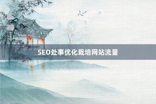 SEO处事优化栽培网站流量